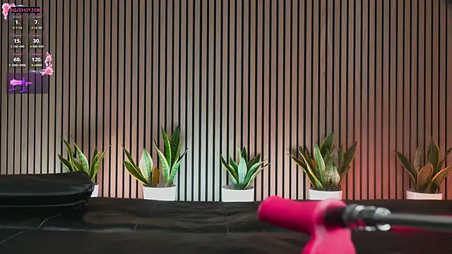 Snapshot of NiceHotJob chatting on 3, 2, 2025 NiceHotJob online show from 3, 2, 2025