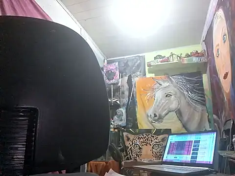 Toycockhot online show from 8, 3, 2025