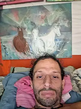 Toycockhot online show from 3, 3, 2026