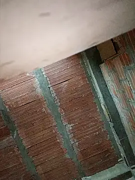 Brenda Berck  online show from 16, 9, 2025