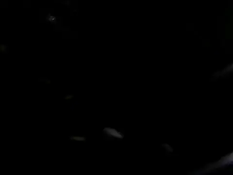 Snapshot of giga-bite chatting on 10, 10, 2025 giga-bite online show from 10, 10, 2025