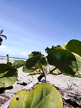 Luna-Natural online show from 14, 12, 2025