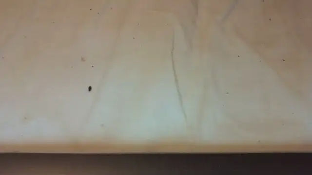 Snapshot of Helly97 chatting on 23, 10, 2025 Helly97 online show from 23, 10, 2025