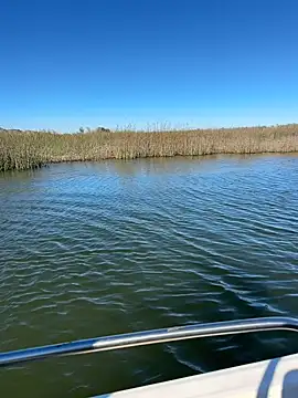 Snapshot of Goonwithoutclinching chatting on 10, 1, 2026 Goonwithoutclinching online show from 10, 1, 2026