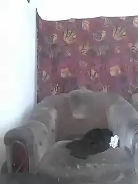 Cerd Ayaz online show from 6, 3, 2025