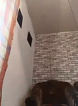 Cerd Ayaz online show from 16, 9, 2025