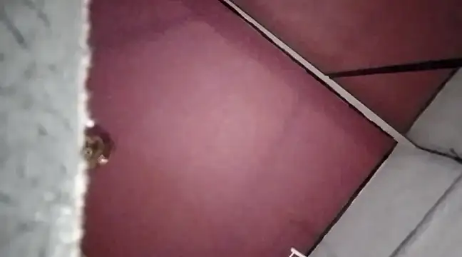 Mariusz38x online show from 30, 12, 2024