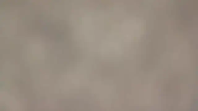 Snapshot of fmodel chatting on 11, 9, 2025 fmodel online show from 11, 9, 2025