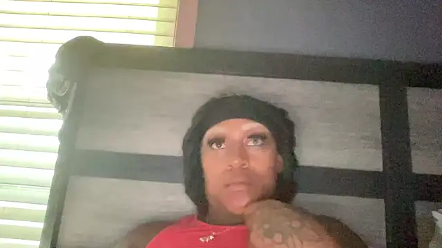 Creamesensation online show from 29, 10, 2025