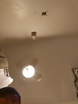 tropikboy online show from 12, 1, 2026