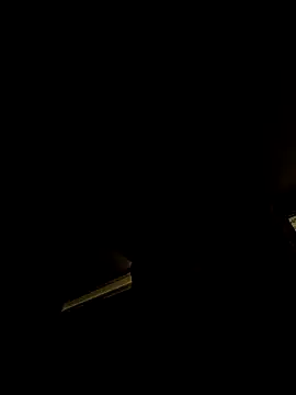 tropikboy online show from 4, 2, 2026