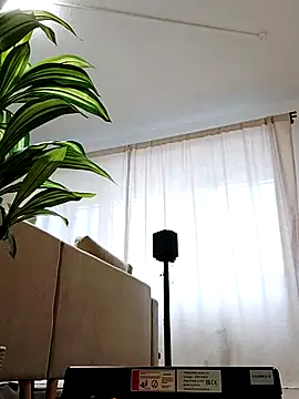 Snapshot of mister-dwt chatting on 26, 2, 2025 mister-dwt online show from 26, 2, 2025