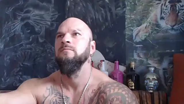 viking 30 online show from 7, 11, 2025