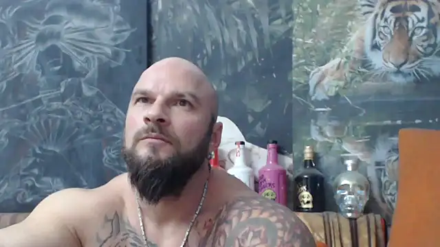 viking 30 online show from 19, 11, 2025