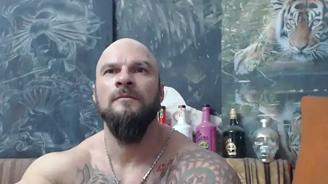 viking 30 online show from 20, 11, 2025