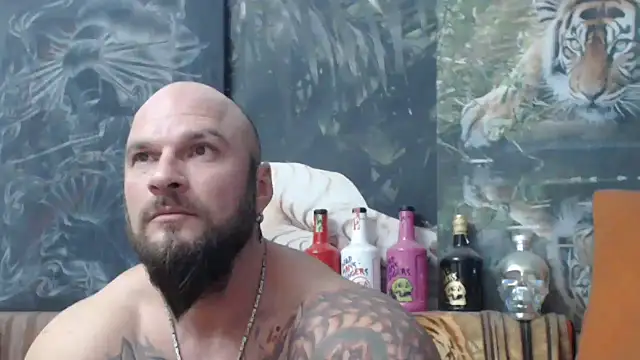 viking 30 online show from 22, 11, 2025