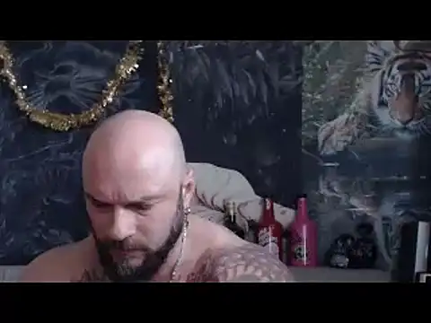 viking 30 online show from 30, 3, 2026