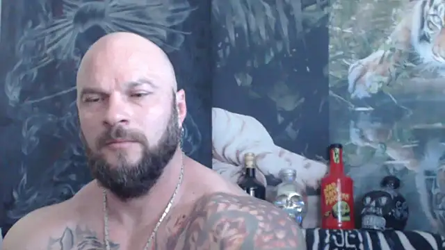 viking 30 online show from 27, 5, 2026
