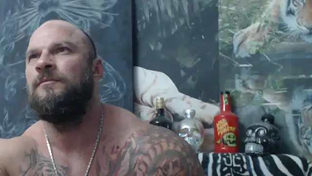 viking 30 online show from 23, 6, 2026