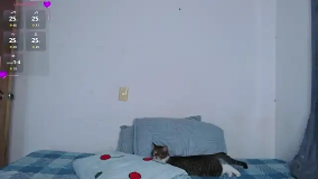 Snapshot of valen_thompson chatting on 1, 3, 2026 valen thompson online show from 1, 3, 2026