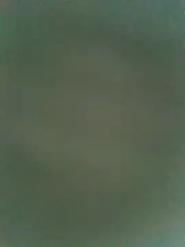 dreamtoungelick69 online show from 25, 7, 2026