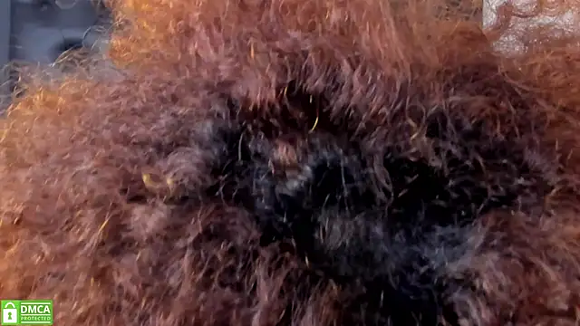 Alika Shanty online show from 20, 3, 2026