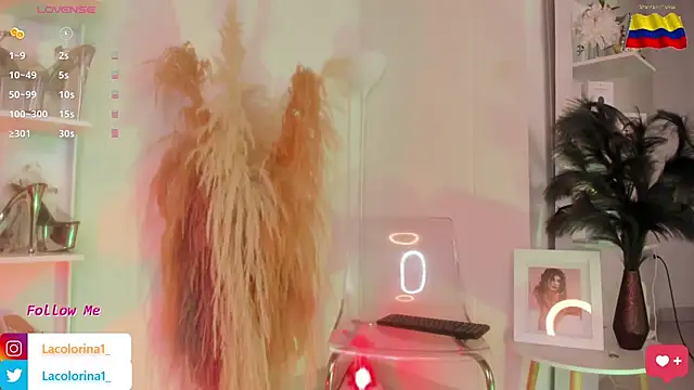 LaColorina  online show from 5, 11, 2025