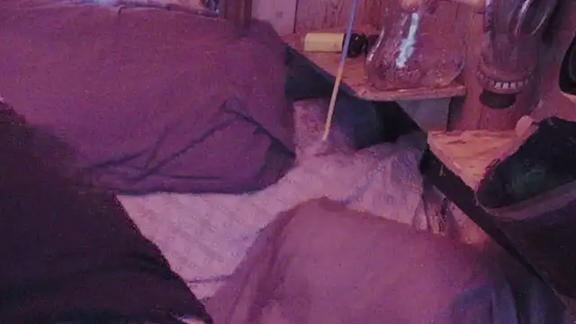 sex4fun 21 online show from 1, 2, 2025