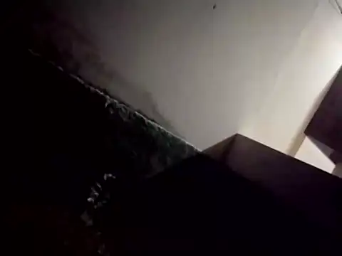 catdool online show from 28, 2, 2025