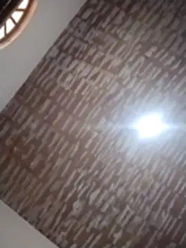 catdool online show from 14, 12, 2025