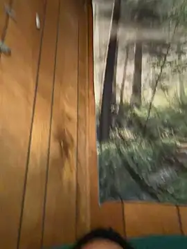 ScottyOne17 online show from 17, 3, 2026