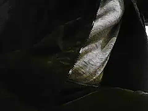 Snapshot of papiculo86 chatting on 29, 1, 2025 papiculo86 online show from 29, 1, 2025