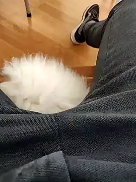 Snapshot of papiculo86 chatting on 2, 2, 2025 papiculo86 online show from 2, 2, 2025