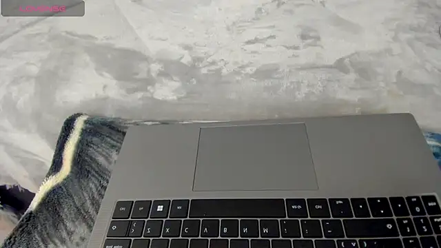 Dephne   online show from 4, 12, 2025