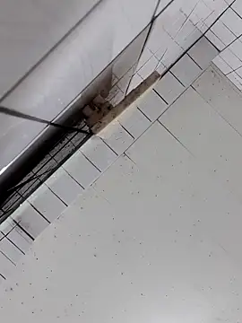 Snapshot of cindy01113520 chatting on 2, 10, 2025 cindy01113520 online show from 2, 10, 2025