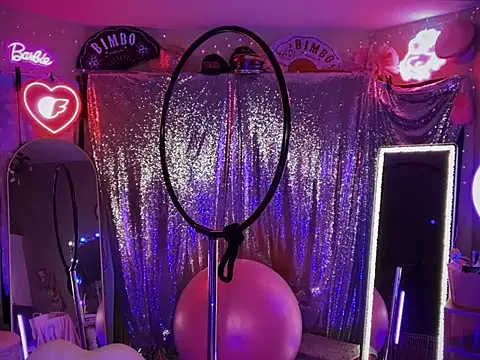 Snapshot of bimbotwerkqueen chatting on 9, 11, 2025 bimbotwerkqueen online show from 9, 11, 2025