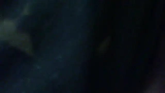 Snapshot of Billywax chatting on 2, 2, 2026 Billywax online show from 2, 2, 2026