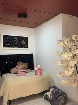 Ambar pe  online show from 4, 11, 2025