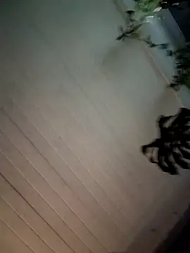 Nikkierosee online show from 14, 12, 2024