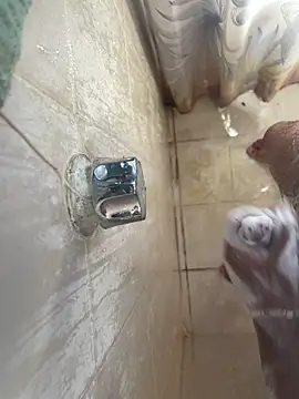 MisaelR10 online show from 23, 9, 2025