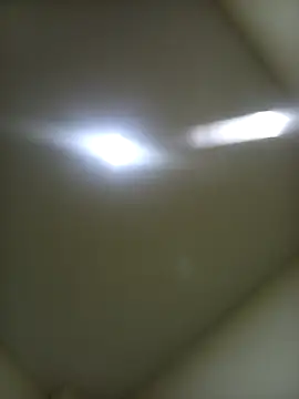 EISONREINA11 online show from 2, 12, 2025