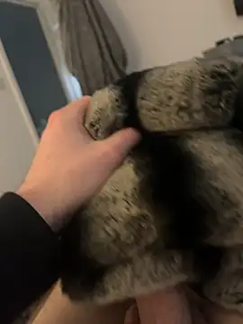 Furdale online show from 12, 2, 2025