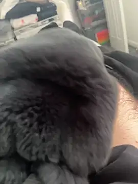 Furdale online show from 14, 3, 2025