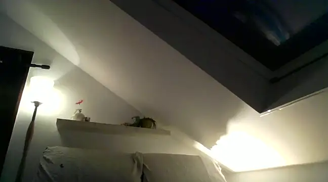 Cambitchboy online show from 11, 12, 2024