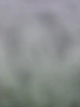 Snapshot of fuckineverett chatting on 15, 3, 2025 fuckineverett online show from 15, 3, 2025