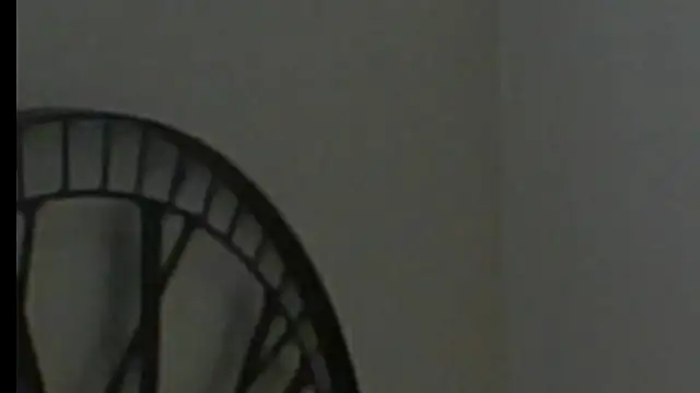 scorviergexh online show from 28, 12, 2024