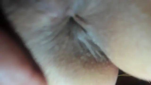 FrumCake online show from 21, 12, 2024