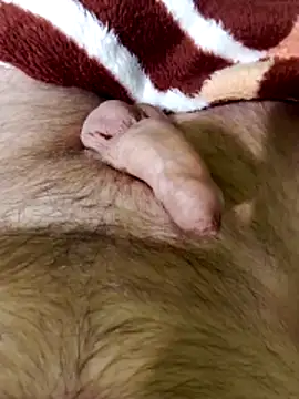 Robertvirt online show from 16, 2, 2026