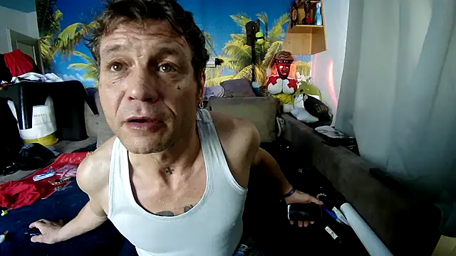 druckfug online show from 5, 12, 2025