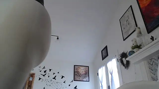 AuroraWillows online show from 19, 1, 2026